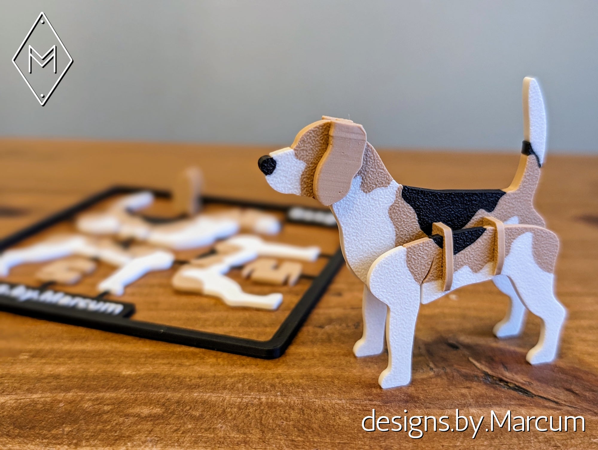 Beagle