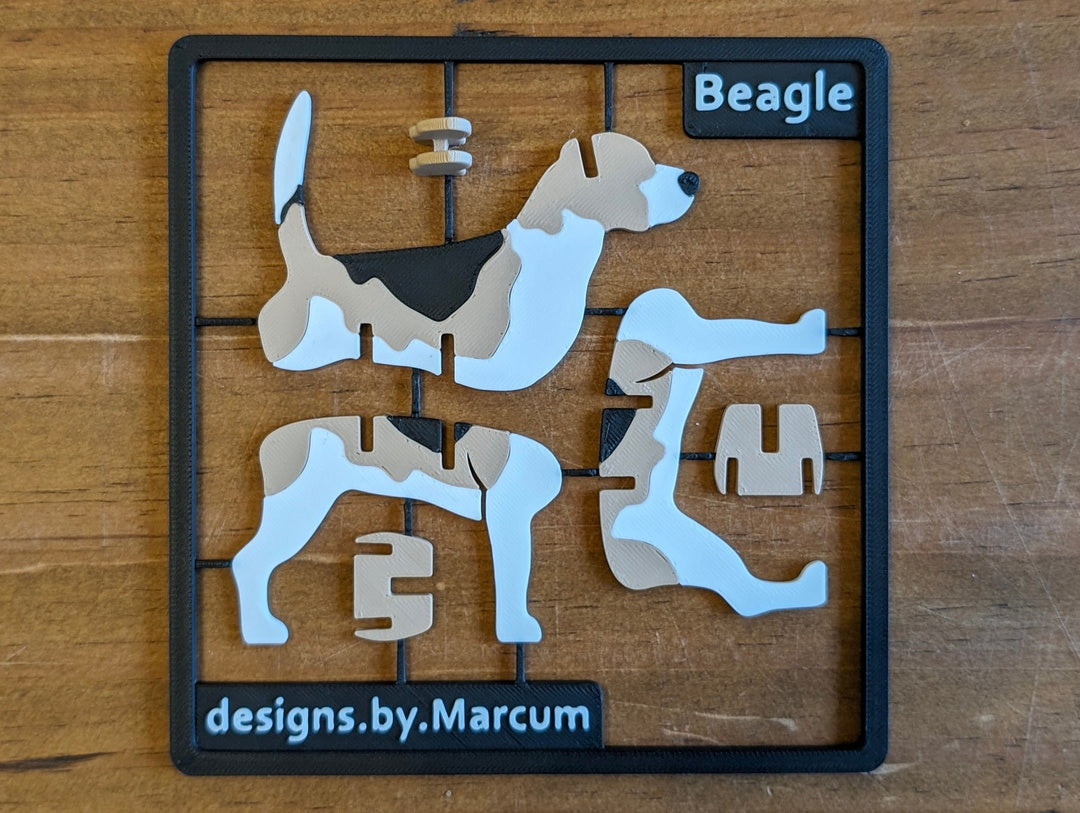 Beagle