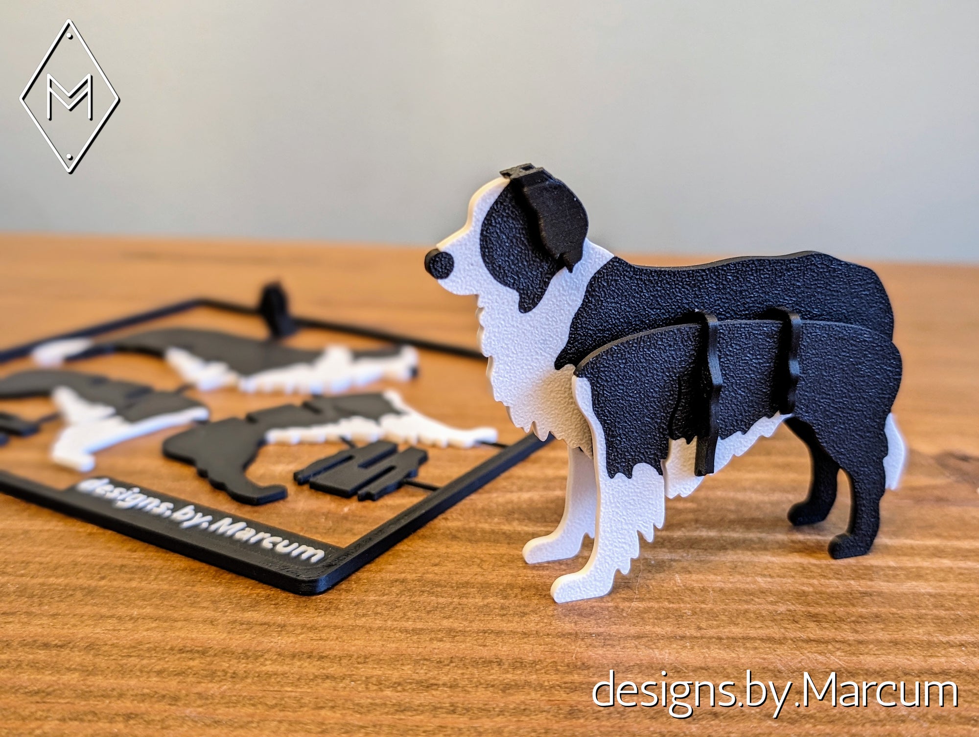 Border Collie