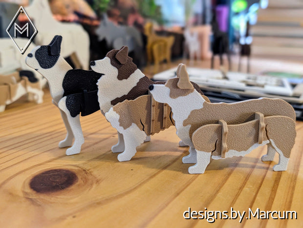 Boston Terrier