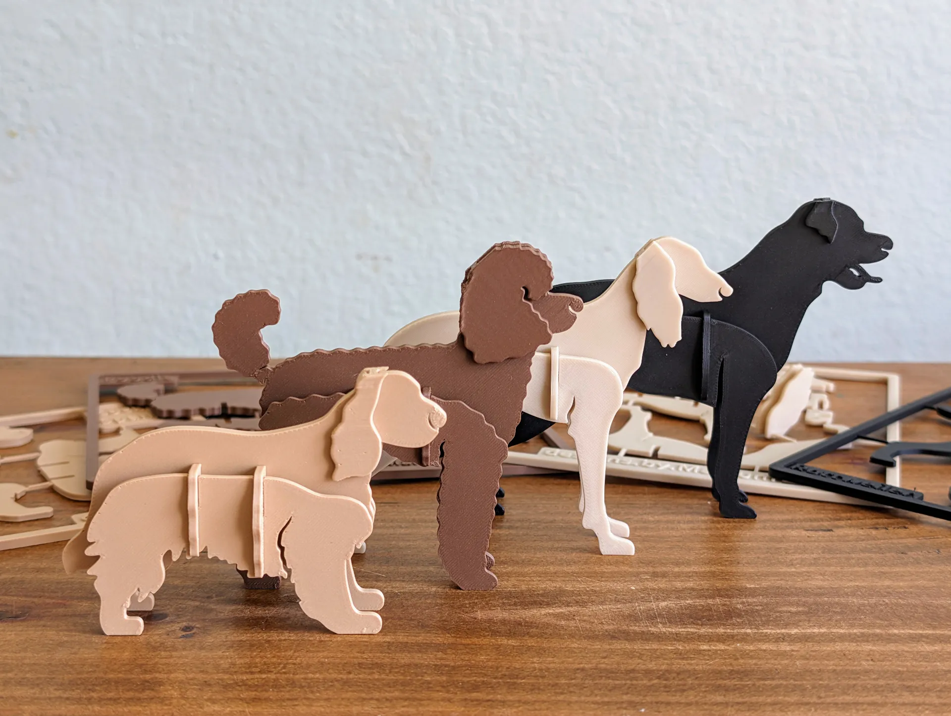 Cocker Spaniel