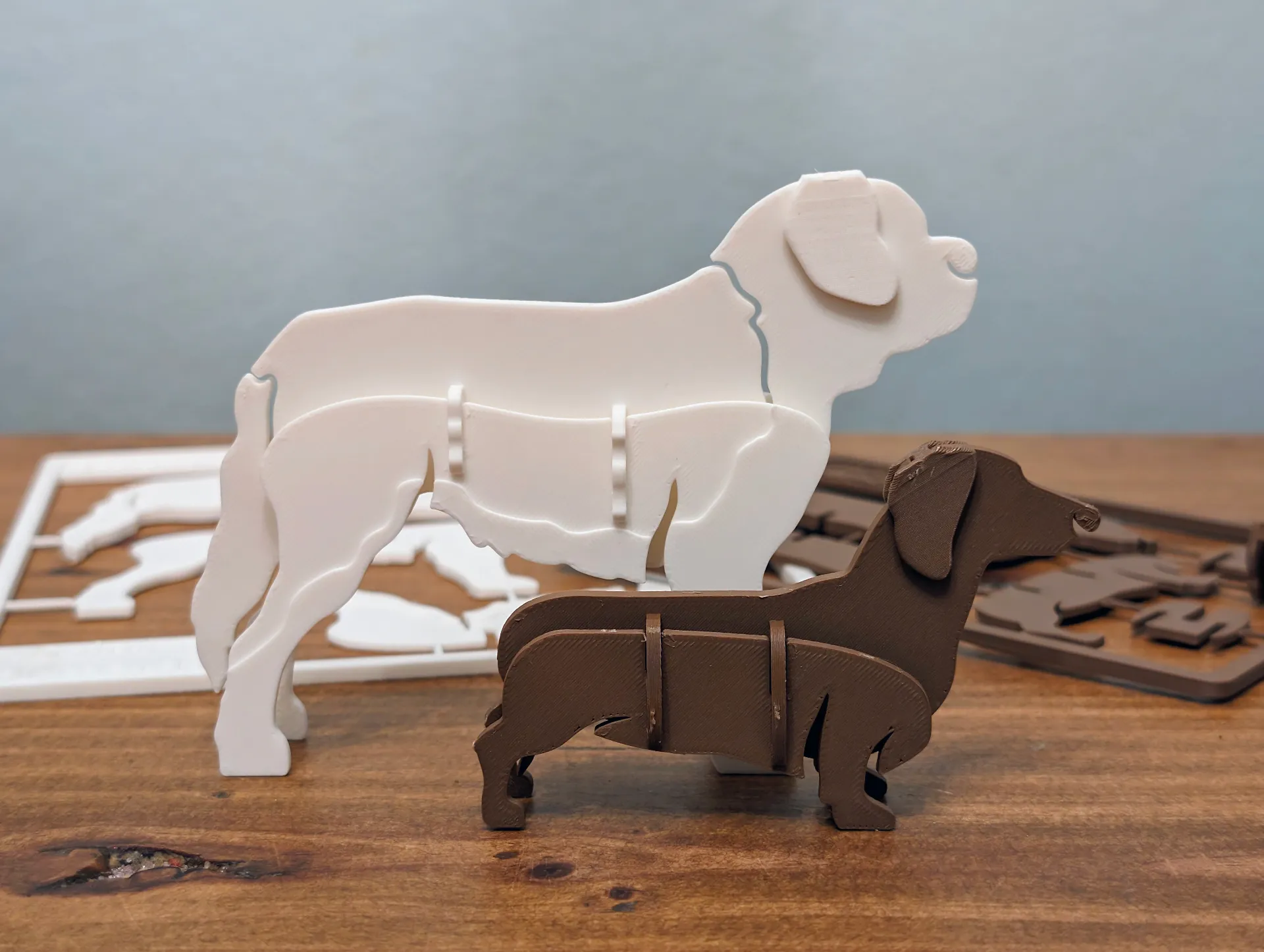 Daschund