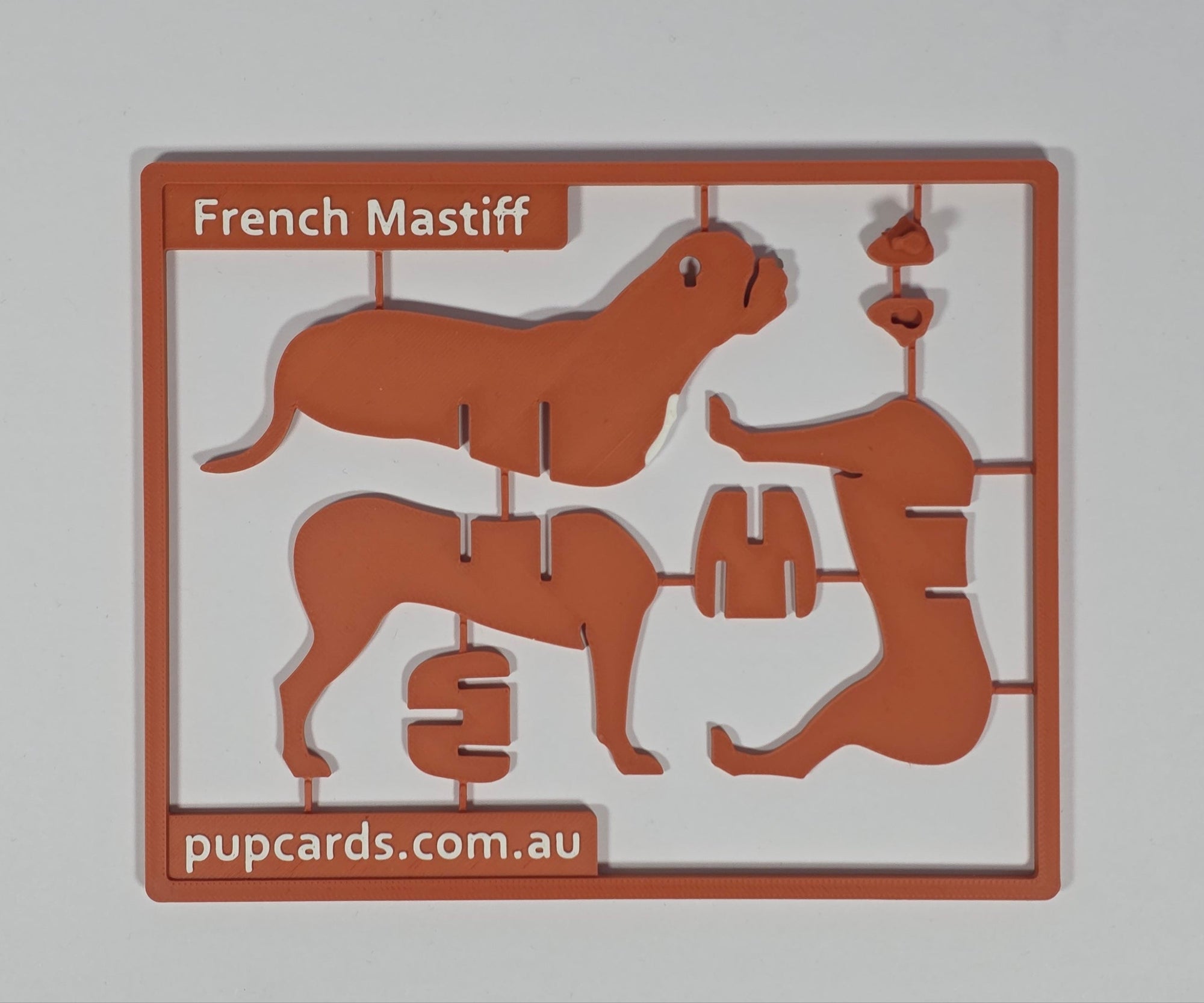French Mastiff