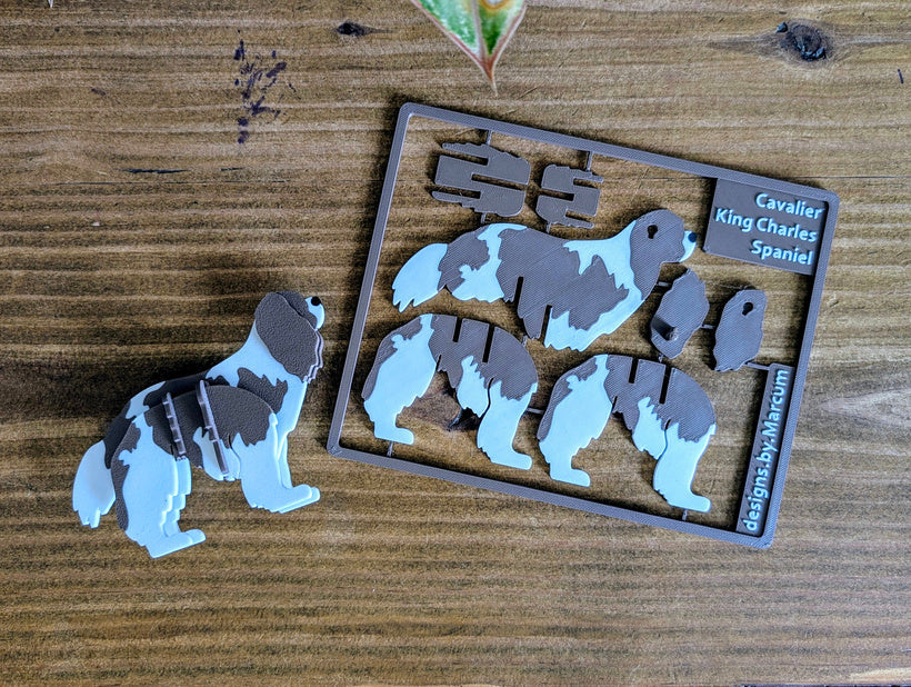 Pup Cards - Multi-colour