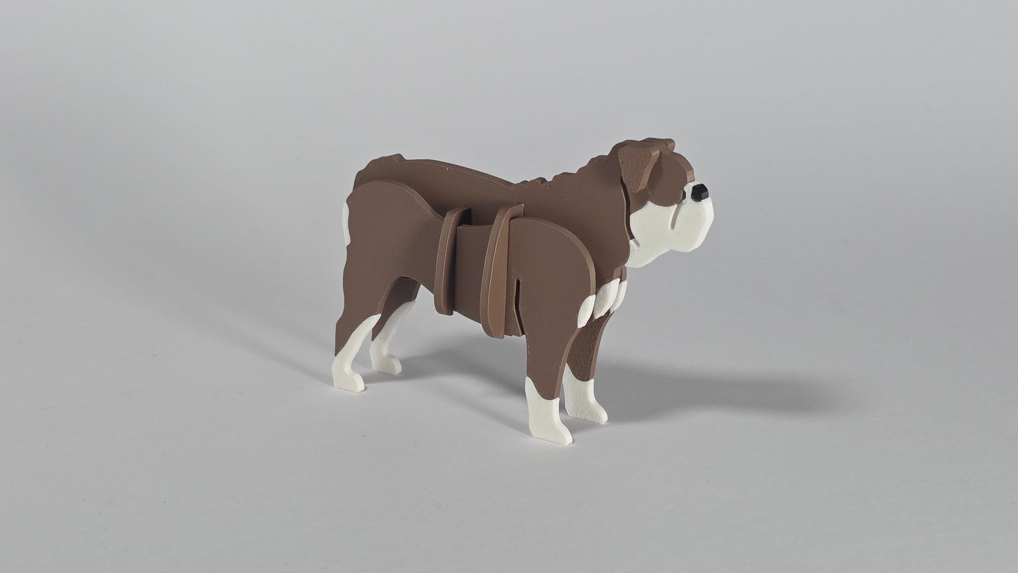 Australian Bulldog