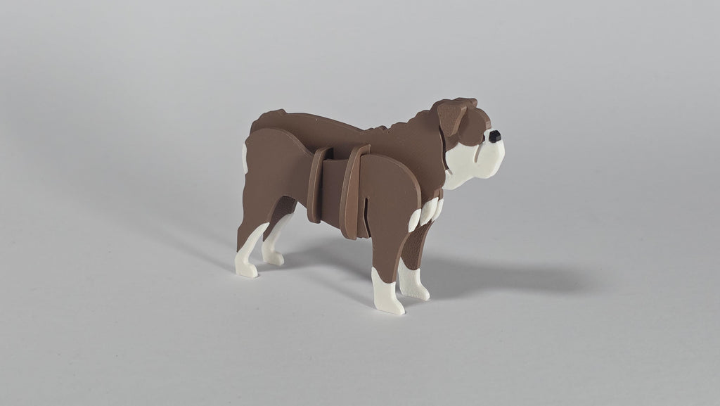 Australian Bulldog