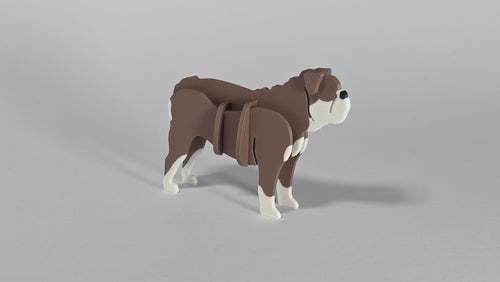 Australian Bulldog
