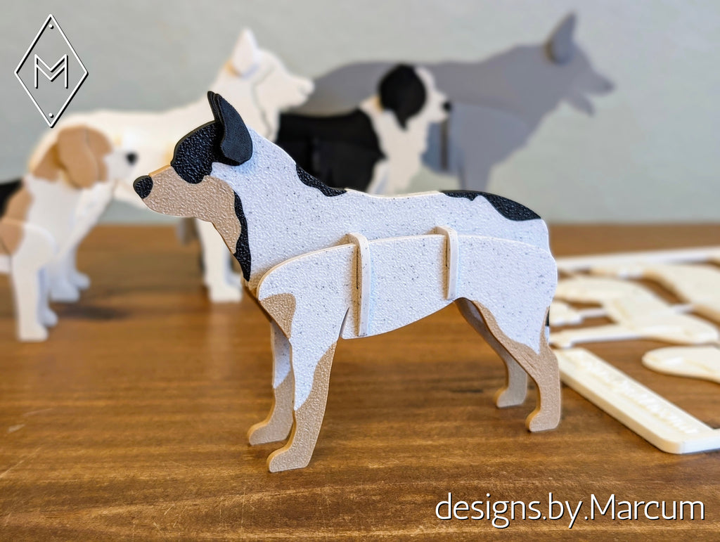 Australian Cattle Dog