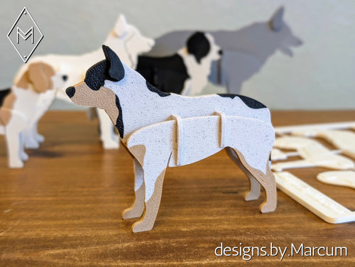 Australian Cattle Dog