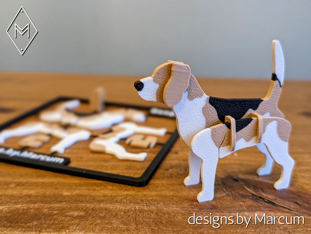 Beagle