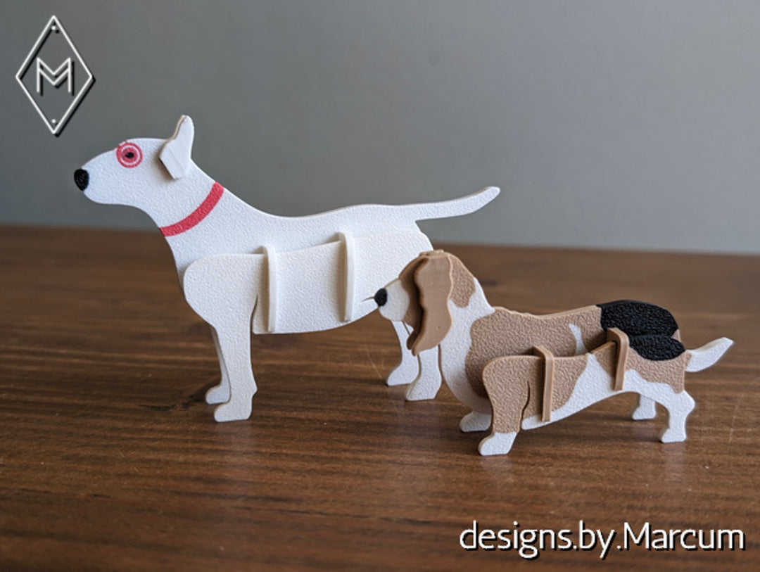 Basset Hound
