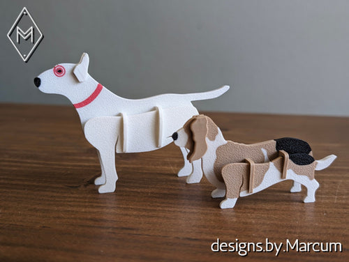 Basset Hound